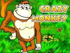 Crazy Monkey